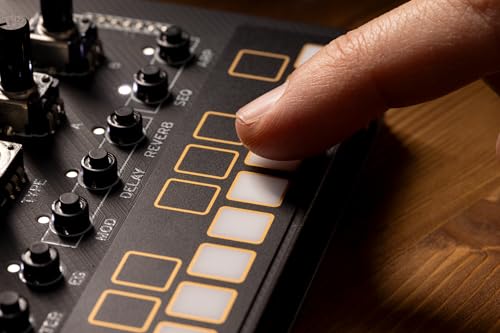 Korg Nu:Tekt NTS-1 Digital Kit DIY Programmable Synthesizer